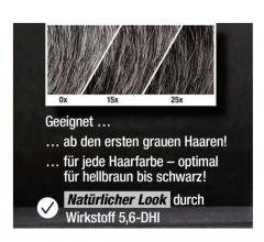 Alpecin Grey Attack Coffein &amp; Color Shampoo Шампунь для уменьшения седины 200мл