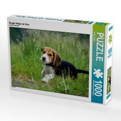 CALVENDO Puzzle CALVENDO Puzzle Beagle Welpe im Gras Пазл CALVENDO Puzzle Щенок бигля в траве