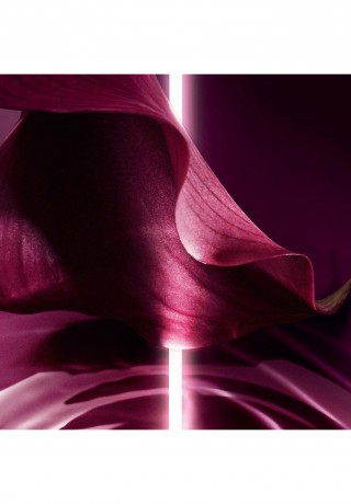 DIOR CAPTURE TOTALE FIRMING & WRINKLE-CORRECTING CREME Anti-Aging transparent CAPTURE TOTAL FIRMING &amp; WRINKLE-CORRECTING CREAM Anti-Aging