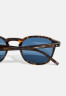 Tommy Hilfiger UNISEX Sunglasses havana солнцезащитные очки УНИСЕКС Гавана