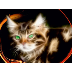 CALVENDO Puzzle CALVENDO Puzzle Die spielerische Пазл CALVENDO Puzzle Игривый