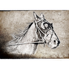 CALVENDO Puzzle CALVENDO Puzzle Der Traber Пазл CALVENDO Пазл Рысак