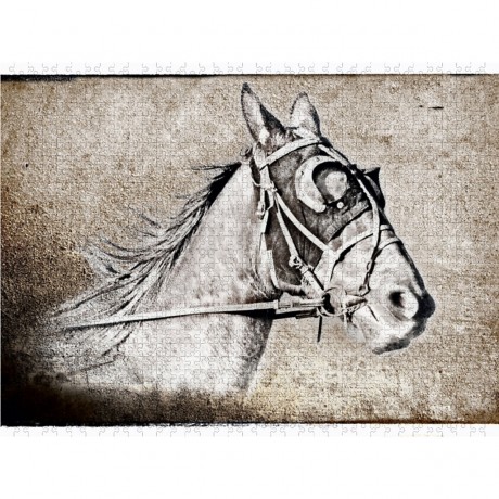 CALVENDO Puzzle CALVENDO Puzzle Der Traber Пазл CALVENDO Пазл Рысак