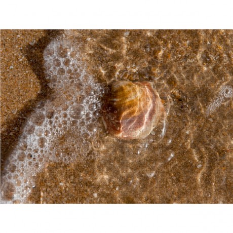 CALVENDO Puzzle CALVENDO Puzzle Emotionale Momente: Meeresrauschen Пазл CALVENDO Puzzle Эмоциональные моменты: шум моря