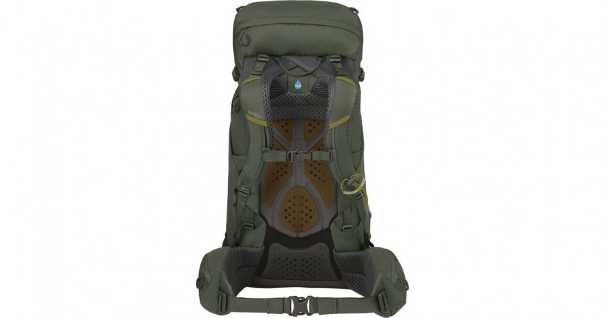 Osprey Osprey Kestrel 38, Rucksack grun, 38 Liter, Grosse L/XL grun Osprey Kestrel 38, рюкзак зеленый, 38 литров, размер L/XL