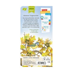 Ravensburger Ich bin das kleine Eichhornchen я маленькая белка