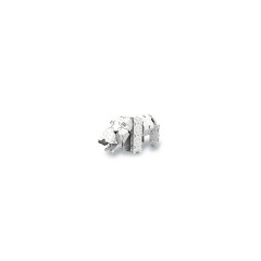 Tierwelt WHITE TIGER  POLAR BEAR БЕЛЫЙ ТИГР БЕЛЫЙ МЕДВЕДЬ