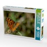 CALVENDO Puzzle CALVENDO Puzzle Polygonia c-album Пазл CALVENDO Puzzle Polygonia c-album