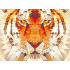 CALVENDO Puzzle CALVENDO Puzzle Tiger Пазл CALVENDO Пазл Тигр