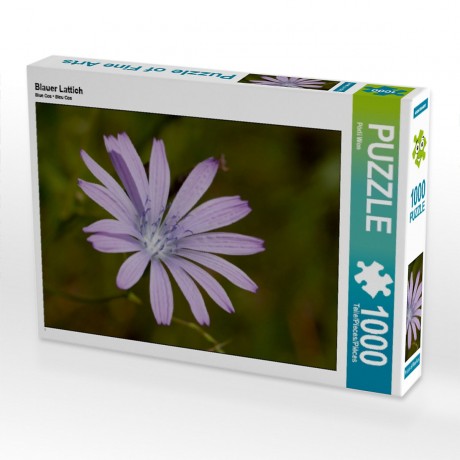 CALVENDO Puzzle CALVENDO Puzzle Blauer Lattich Пазл CALVENDO Пазл Голубой салат