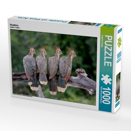 CALVENDO Puzzle CALVENDO Puzzle Hoatzins Пазл CALVENDO Puzzle Hoatzins
