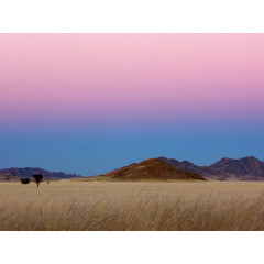 CALVENDO Puzzle CALVENDO Puzzle Morgens in der Namib in Afrika Пазл CALVENDO Puzzle Утро в Намиб в Африке