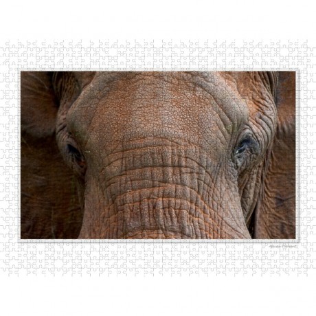 CALVENDO Puzzle CALVENDO Puzzle Emotional Moments: Die Augen der Tiere. UK-Version Пазл CALVENDO Puzzle Emotional Moments: Глаза животных. версия для Великобритании