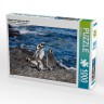 CALVENDO Puzzle CALVENDO Puzzle Magellan-Pinguine am Meer Пазл CALVENDO Puzzle Магеллановы пингвины у моря