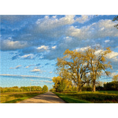 CALVENDO Puzzle CALVENDO Puzzle Farmerland Пазл CALVENDO Пазл Ферма