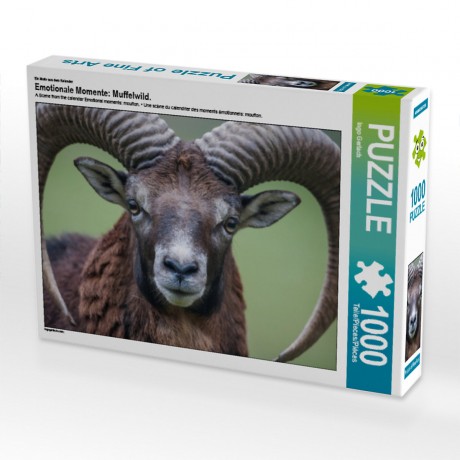 CALVENDO Puzzle CALVENDO Puzzle Emotionale Momente: Muffelwild. Пазл CALVENDO Пазл Эмоциональные моменты: муфлон.