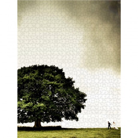 CALVENDO Puzzle CALVENDO Puzzle Juni: Unter herrlichem Sommergrun lasst es die Liebe bluhen. Пазл CALVENDO Puzzle Июнь: Пусть любовь расцветает под роскошной летней зеленью.