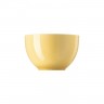 Thomas Thomas Sunny Day Soft Yellow Muslischale 12 cm / 0,45 L Миска для хлопьев Thomas Sunny Day Soft Yellow 12 см / 0,45 л