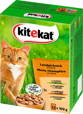 kitekat Влажный корм Для кошек, Пикник в Соусе, Multipack 12x100g, 1200 г