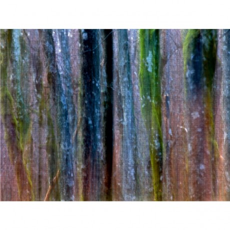 CALVENDO Puzzle CALVENDO Puzzle Baumsymfonie Пазл CALVENDO Пазл дерево симфония