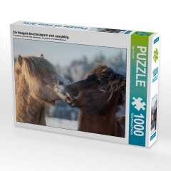 CALVENDO Puzzle CALVENDO Puzzle Die Hengste beschnuppern sich ausgiebig. Головоломка CALVENDO Puzzle Жеребцы много обнюхивают друг друга.