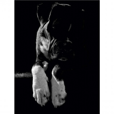 CALVENDO Puzzle CALVENDO Puzzle Nelly Пазл CALVENDO Пазл Нелли