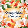 Lenor Weichspuler Orangenblute & Verbene 71 WL, Кондиционер для белья с ароматом цветков апельсина и вербены, 71 загрузка (1596мл)