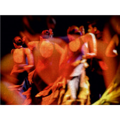 CALVENDO Puzzle CALVENDO Puzzle Flamenco Пазл CALVENDO Пазл Фламенко