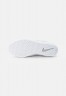 Nike SB FORCE 58 UNISEX Sneaker low wolf grey/white-wolf grey/white FORCE 58 UNISEX Низкие кроссовки женские волчий серый/белый-волчий серый/белый