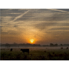 CALVENDO Puzzle CALVENDO Puzzle Morgennebel in Schleswig-Holstein Пазл CALVENDO Puzzle Утренний туман в земле Шлезвиг-Гольштейн