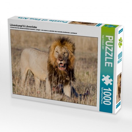 CALVENDO Puzzle CALVENDO Puzzle Lowenkampf Lowenliebe Пазл CALVENDO Puzzle Lion fight Lion love