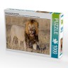 CALVENDO Puzzle CALVENDO Puzzle Lowenkampf Lowenliebe Пазл CALVENDO Puzzle Lion fight Lion love