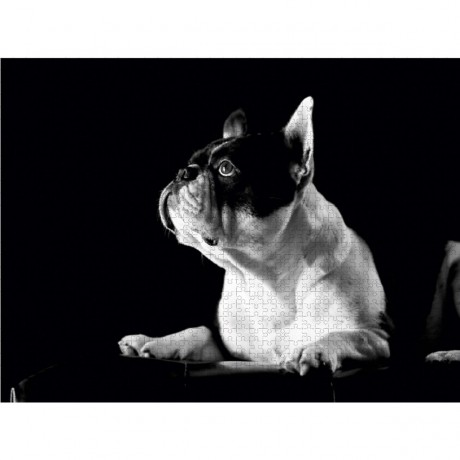 CALVENDO Puzzle CALVENDO Puzzle Juno Пазл CALVENDO Пазл Юнона