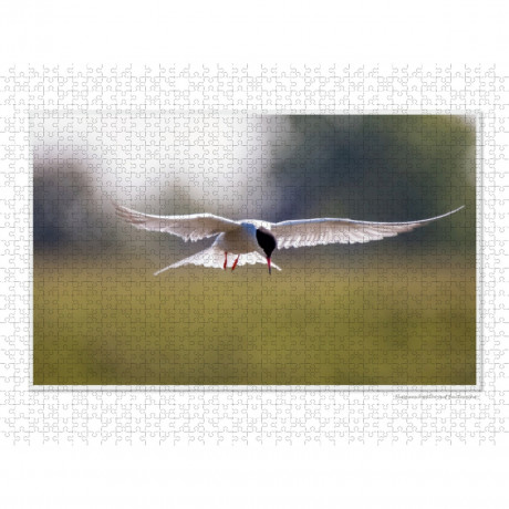 CALVENDO Puzzle CALVENDO Puzzle Emotionale Momente: Die Vogelinsel Texel. \/ CH-Version Пазл CALVENDO Пазл Эмоциональные моменты: Птичий остров Тексел. \/ версия CH