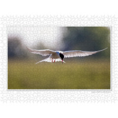 CALVENDO Puzzle CALVENDO Puzzle Emotionale Momente: Die Vogelinsel Texel. \/ CH-Version Пазл CALVENDO Пазл Эмоциональные моменты: Птичий остров Тексел. \/ версия CH