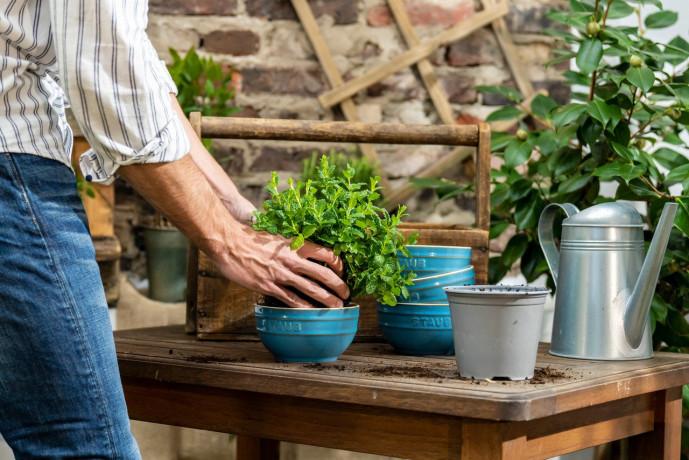 Staub Staub Schucsselset 4-tlg. turkis Набор пылесборников 4 шт.