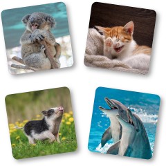 Memospiel Tierisch Lustig Памятка игра животное забавное