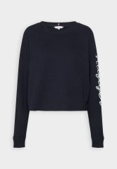 Tommy Hilfiger ROPE PUFF PRINT Sweatshirt desert sky ПРИНТ ROPE PUFF Толстовка небо пустыни