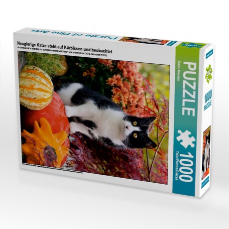 CALVENDO Puzzle CALVENDO Puzzle Neugierige Katze steht auf Kurbissen und beobachtet Пазл CALVENDO Puzzle Любопытный кот стоит на тыквах и смотрит
