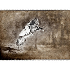 CALVENDO Puzzle CALVENDO Puzzle Die Dressur Пазл CALVENDO Puzzle Выездка