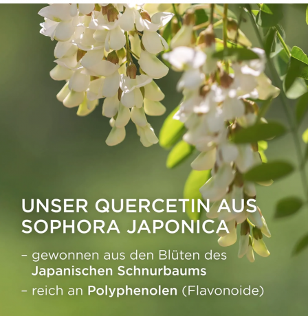 Nature's Way Quercetin Zink Gummibarchen 60st, Жевательные мармеладки с кверцетином и цинком для укрепления иммунитета со вкусом лимона из цветков японского лимонника, вегетарианские, 60 штук