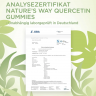Nature's Way Quercetin Zink Gummibarchen 60st, Жевательные мармеладки с кверцетином и цинком для укрепления иммунитета со вкусом лимона из цветков японского лимонника, вегетарианские, 60 штук