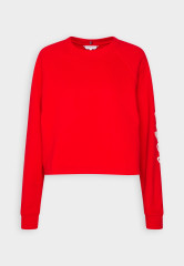 Tommy Hilfiger ROPE PUFF PRINT Sweatshirt fireworks ПРИНТ ROPE PUFF Толстовка салют