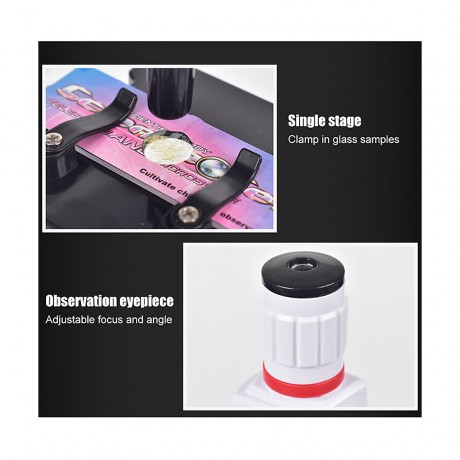 Vicabo Mikroskop fur Kinder Schuler 100 1200 Fache Vergrosserung Mikroskope fur Kinder Микроскоп для детей школьников 100 х 1200 увеличение Микроскопы для детей