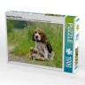CALVENDO Puzzle CALVENDO Puzzle Beagle-Welpe mit Teddy Пазл CALVENDO Puzzle Щенок бигля с мишкой