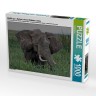 CALVENDO Puzzle CALVENDO Puzzle Wildlife pur : Elefant in freier Wildbahn. Kenia Пазл CALVENDO Puzzle Чистая дикая природа: Слон в дикой природе. Кения