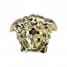 Rosenthal meets Versace Rosenthal Versace Break the bank Spardose Medusenkopf gold 18x12x14,5 cm Rosenthal Versace Копилка Break the bank Голова Медузы золото 18x12x14,5 см