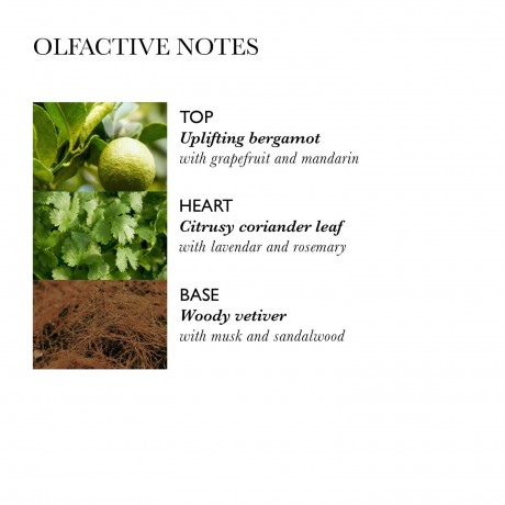 Molton Brown Balancing Shampoo Балансирующий шампунь