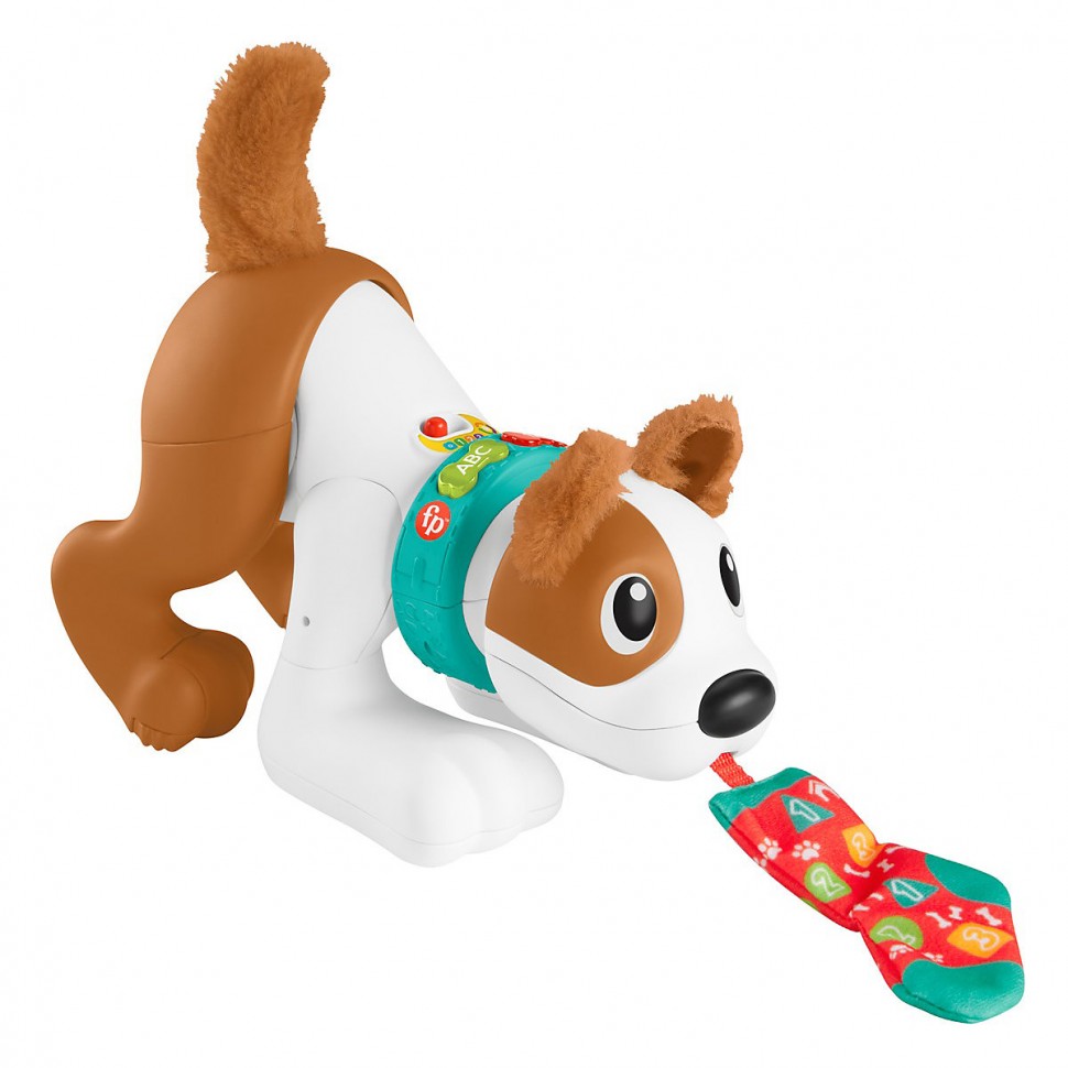 Купить Mattel Fisher-Price Bello der Krabbel-Hund (D) Ползучая собака Белло  Fisher-Price (D) в интернет-магазине Diskontshop.eu Германия всего за 2 998  руб. в