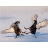 CALVENDO Puzzle CALVENDO Puzzle Emotionale Momente: Birkwild Пазл CALVENDO Puzzle Эмоциональные моменты: тетерев